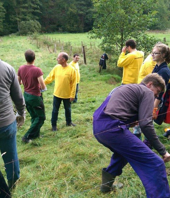 Flächenpflege im Naafbachtal