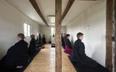 Zen Meditation in Stille im Fischerhof