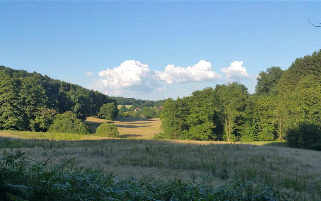 Wanderung von der Quelle bis zur Mündung durch das Naafbachtal