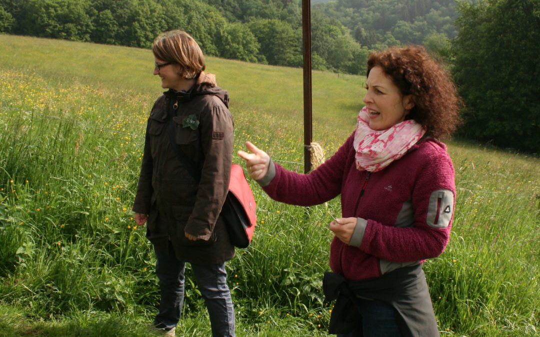 Vorschulkinder entdecken den Wald