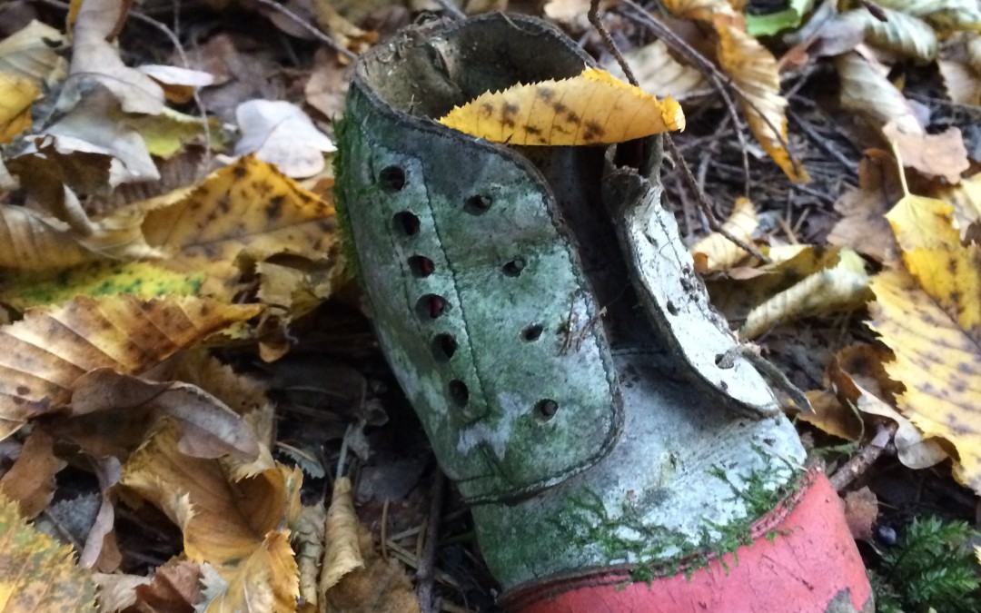 Philosophischer Spaziergang durchs Naafbachtal