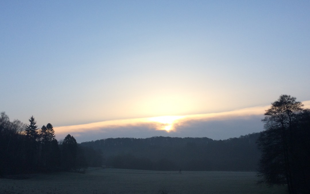 Novembernebel im Naafbachtal