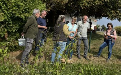 Kräuterseminar an und um den Fischerhof