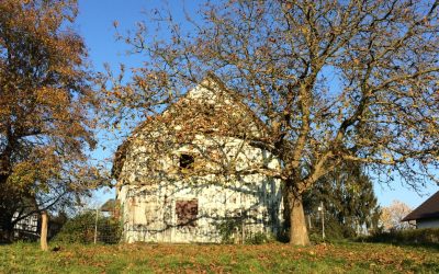 Zustand des Hofes im Herbst 2016