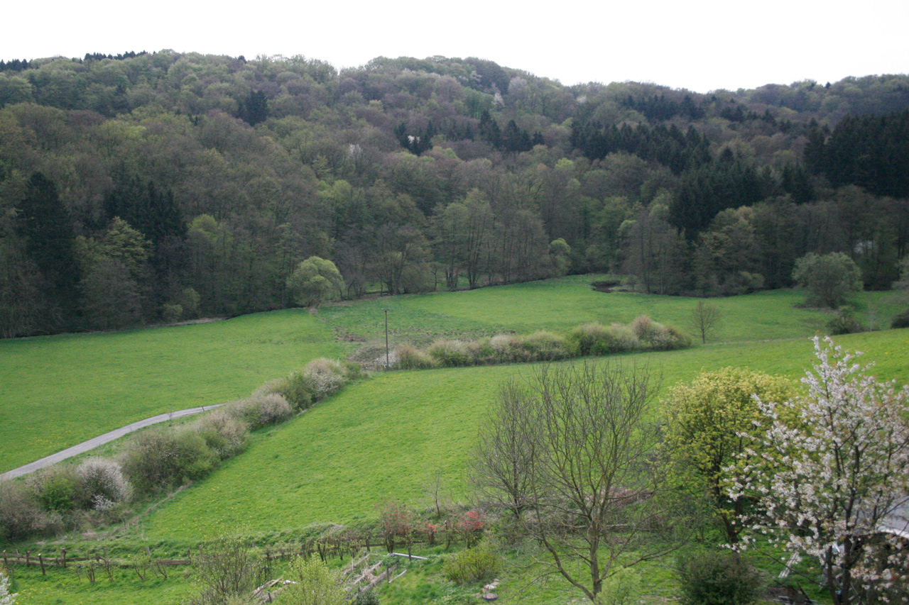 Vogelschutzhecke